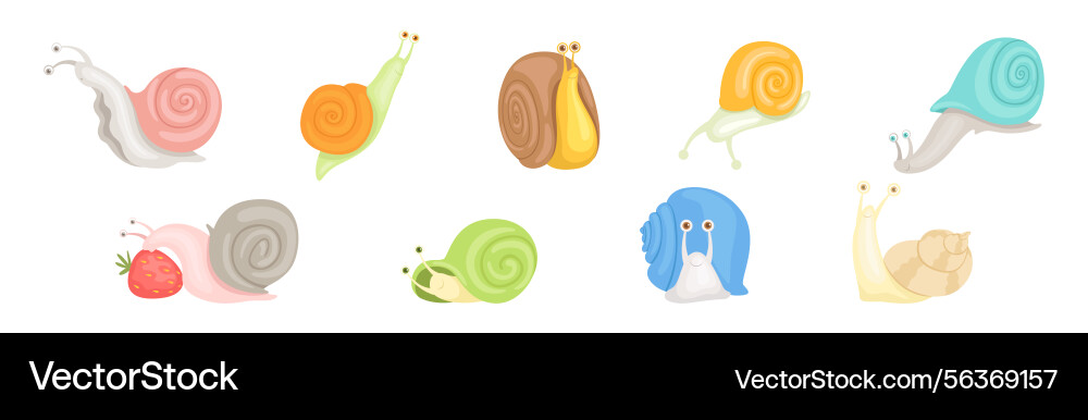 Snail funny character with spiral shell set Vector Image