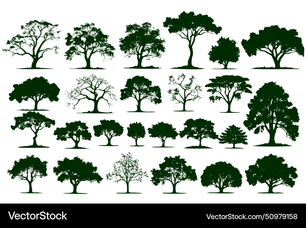 Collection of trees in various sizes and shapes vector image