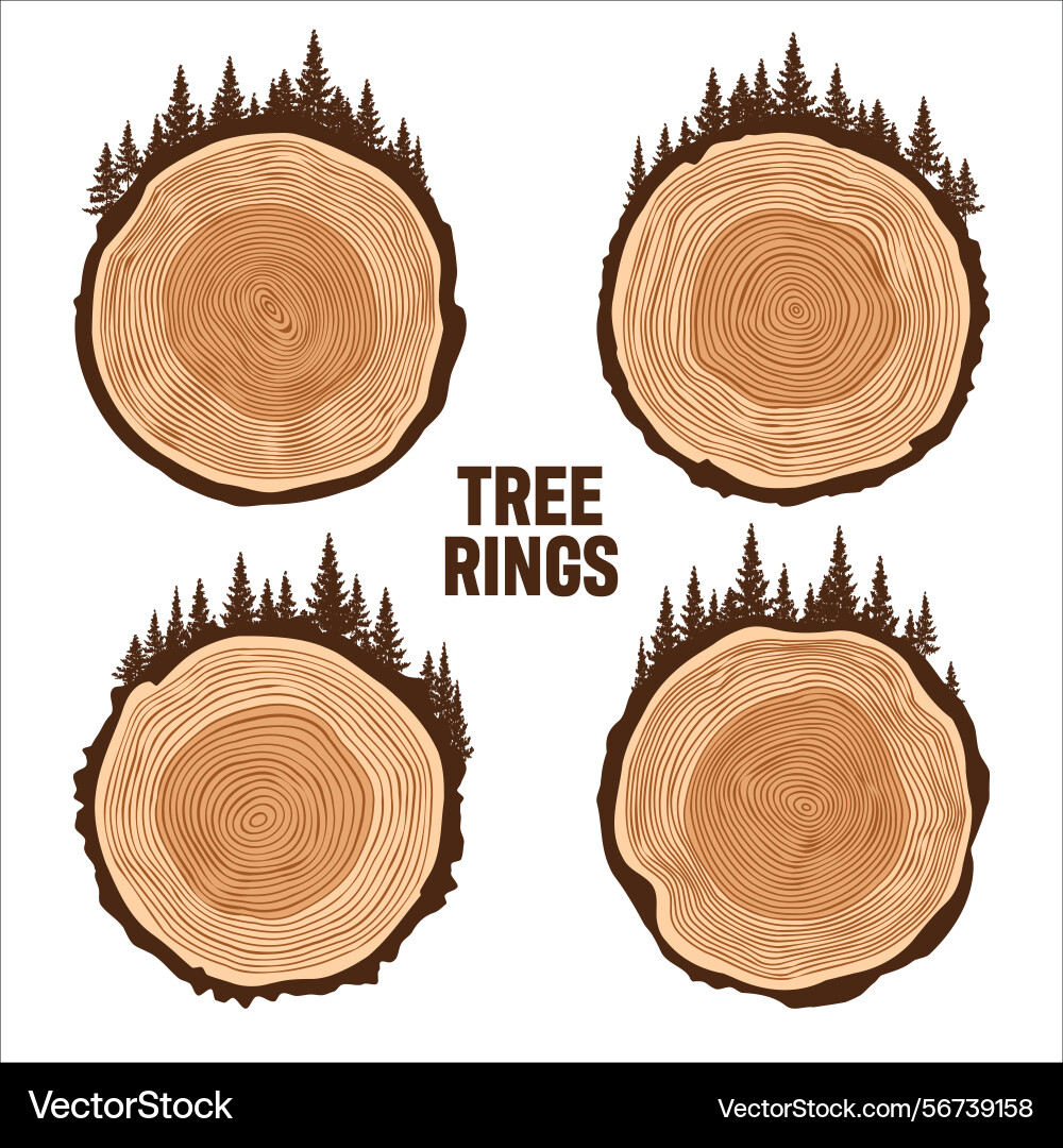 Round tree trunk cuts with trees and forest sawn Round tree trunk cuts with trees and forest sawn vector image