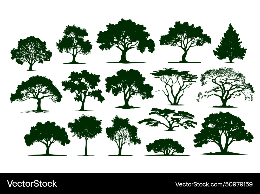 Collection of trees in various sizes and shapes Collection of trees in various sizes and shapes Vector Image