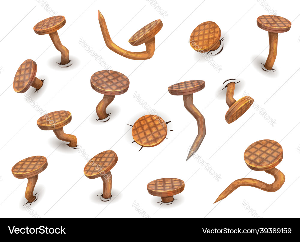 Rusty Bent Nails and Hobnails vector image