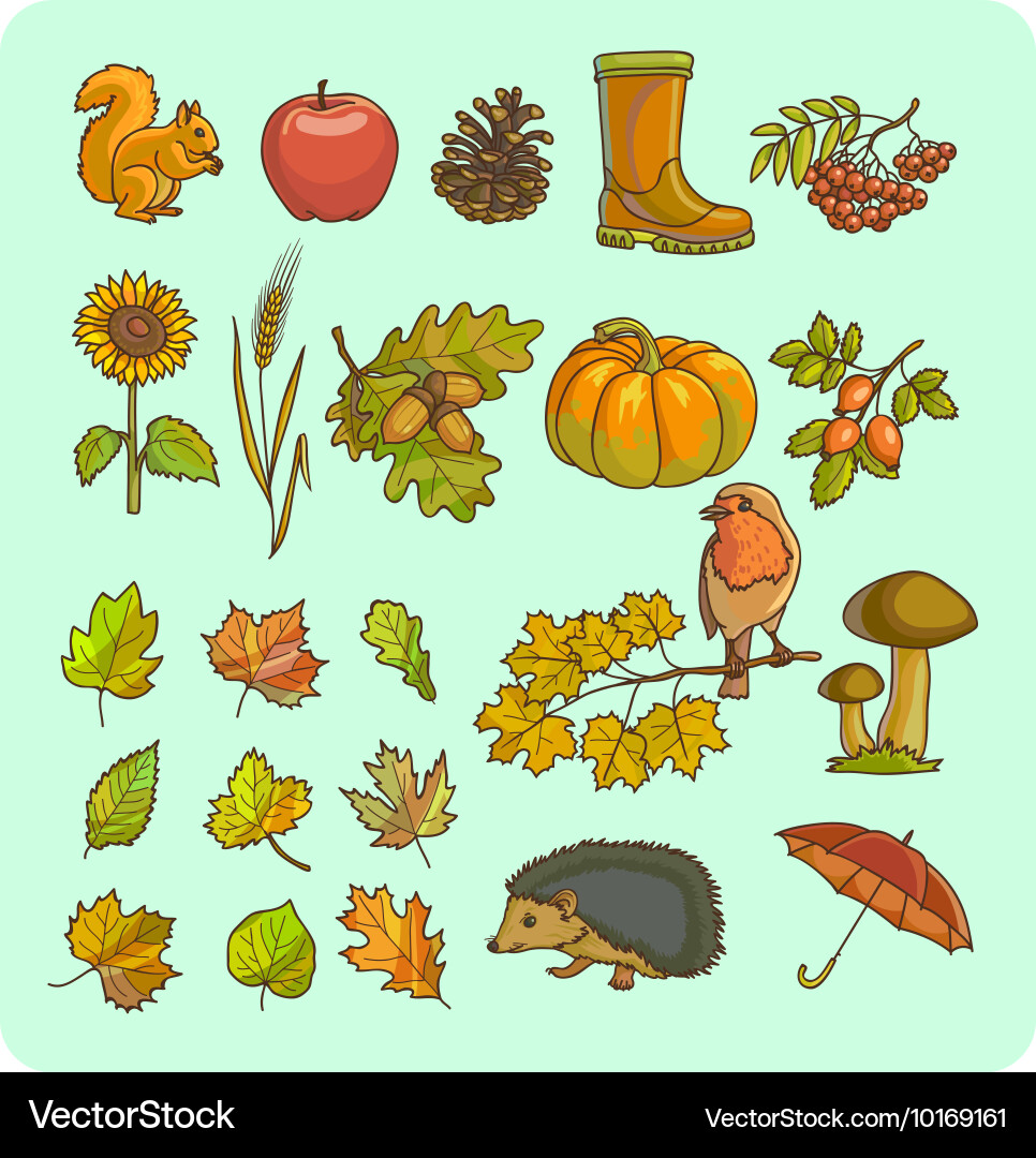 Autumn icon and objects set for design vector image
