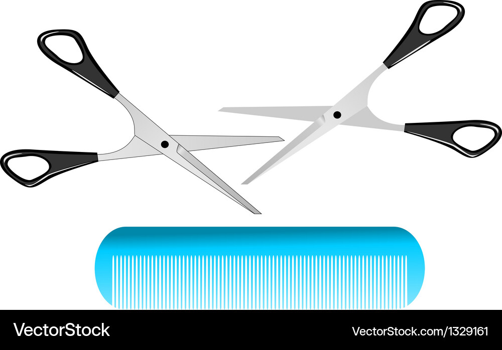 Comb and scissors Vector Image