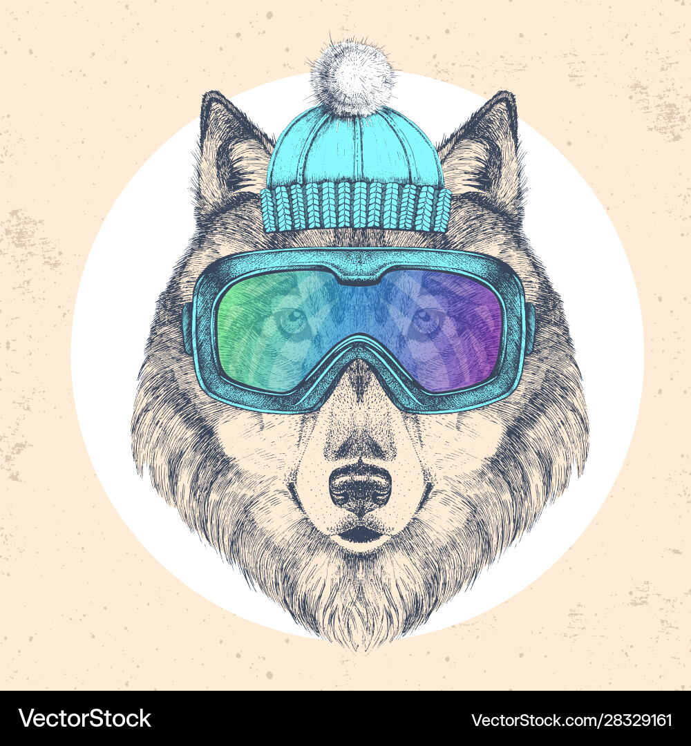 Hipster Tierwolf im Wintermütze Hipster Tierwolf im Wintermütze vektorbild