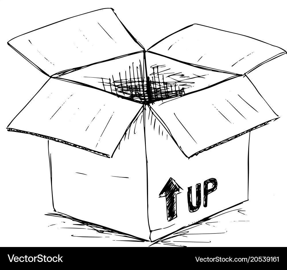 Rustic Open Box Sketch vector image