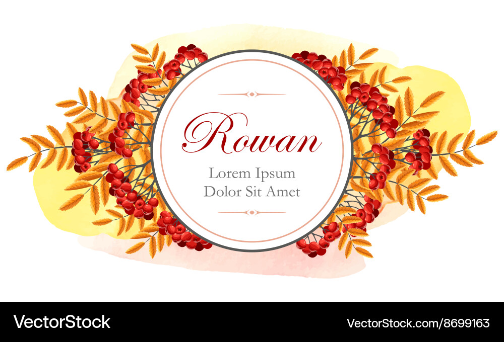 Card with rowan Royalty Free Vector Image - VectorStock