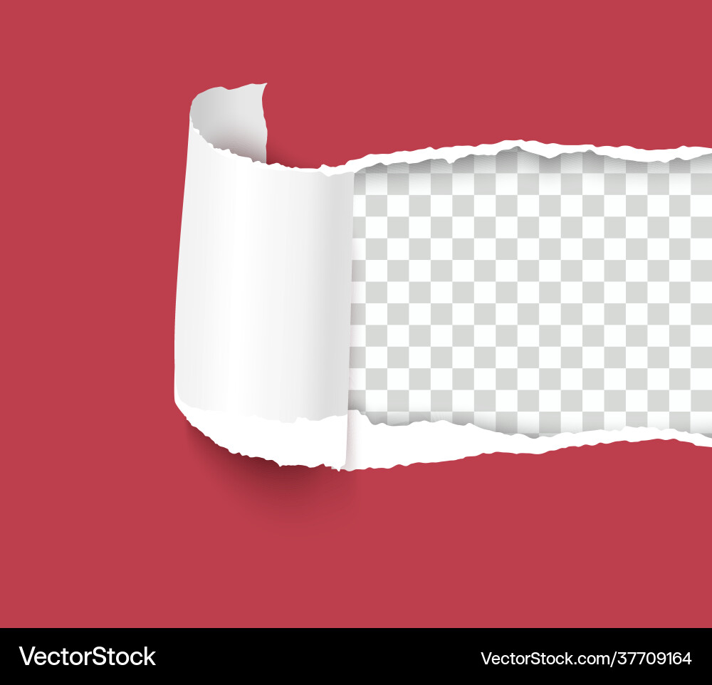 Ripped sheet with curl paper element isolated Ripped sheet with curl paper element isolated vector image