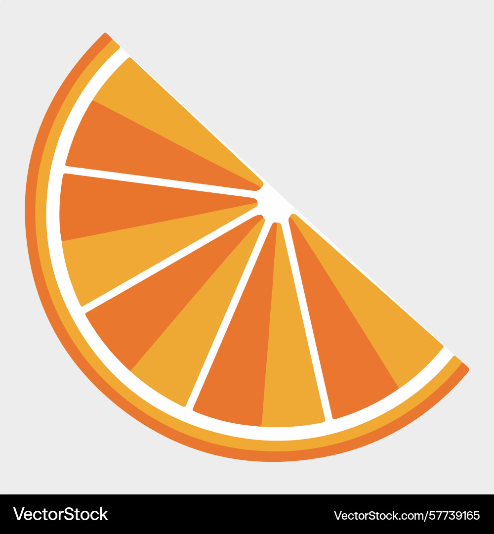 A stylized orange slice with alternating color Vector Image