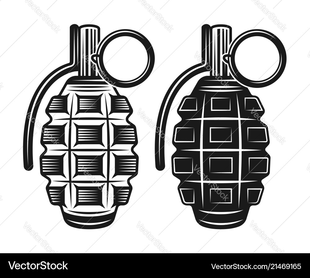 Grenade two style black Grenade two style black vector image