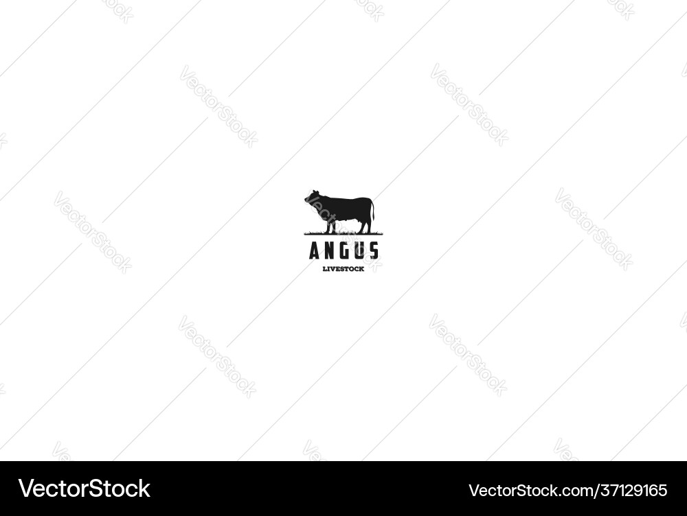 Schwarze Angus Kuh Rinder Nutztier für Rindfleisch Vektorbild