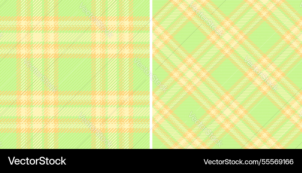 Background check fabric of textile pattern tartan vector image
