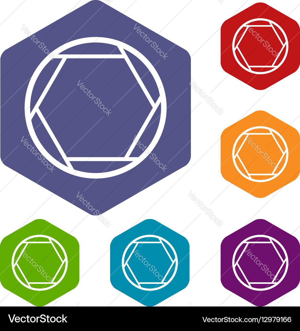 Closed objective icons set Vector Image