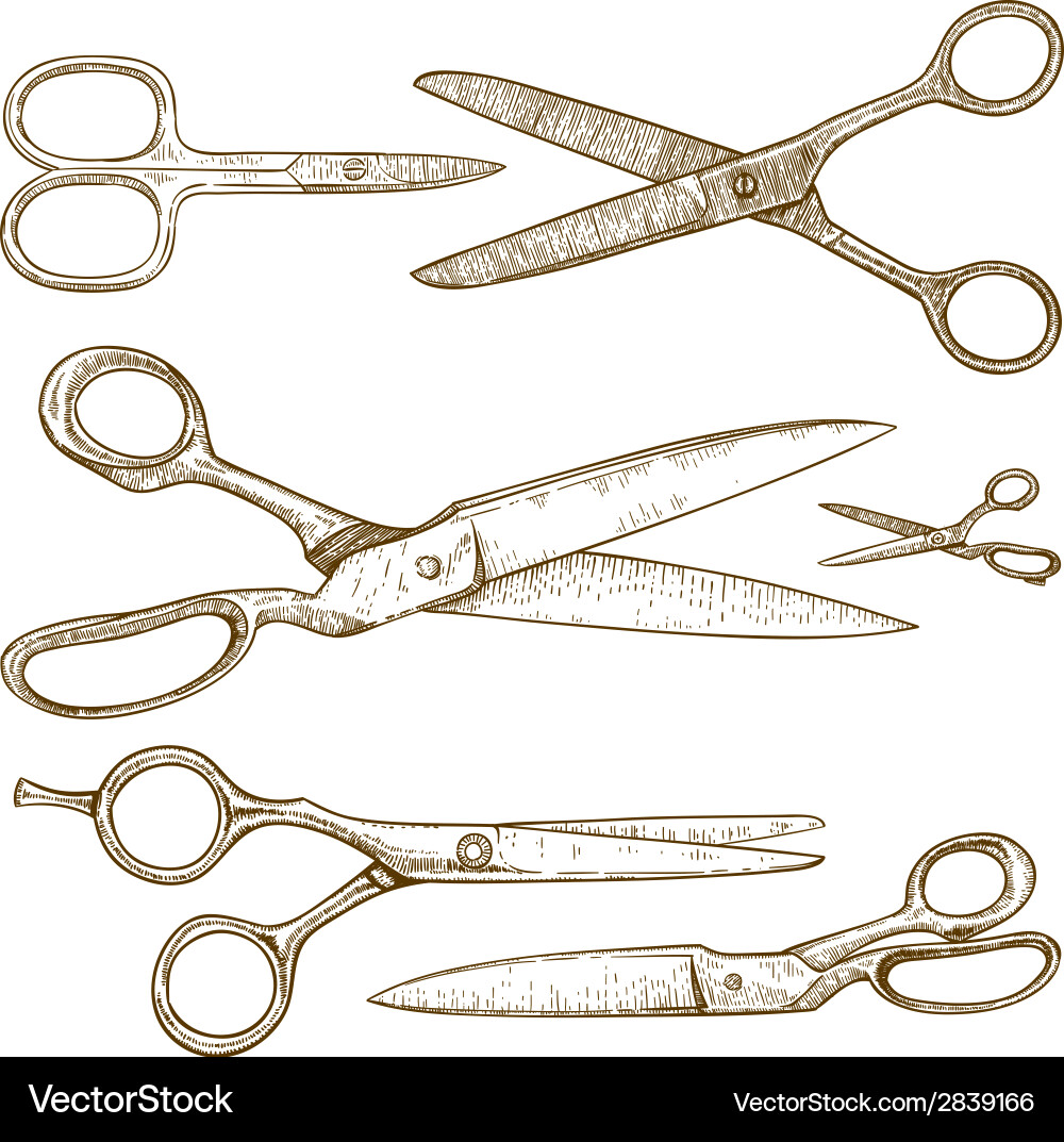 Engraving scissors Royalty Free Vector Image - VectorStock