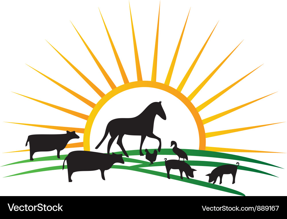 Farm animal silhouettes vector image