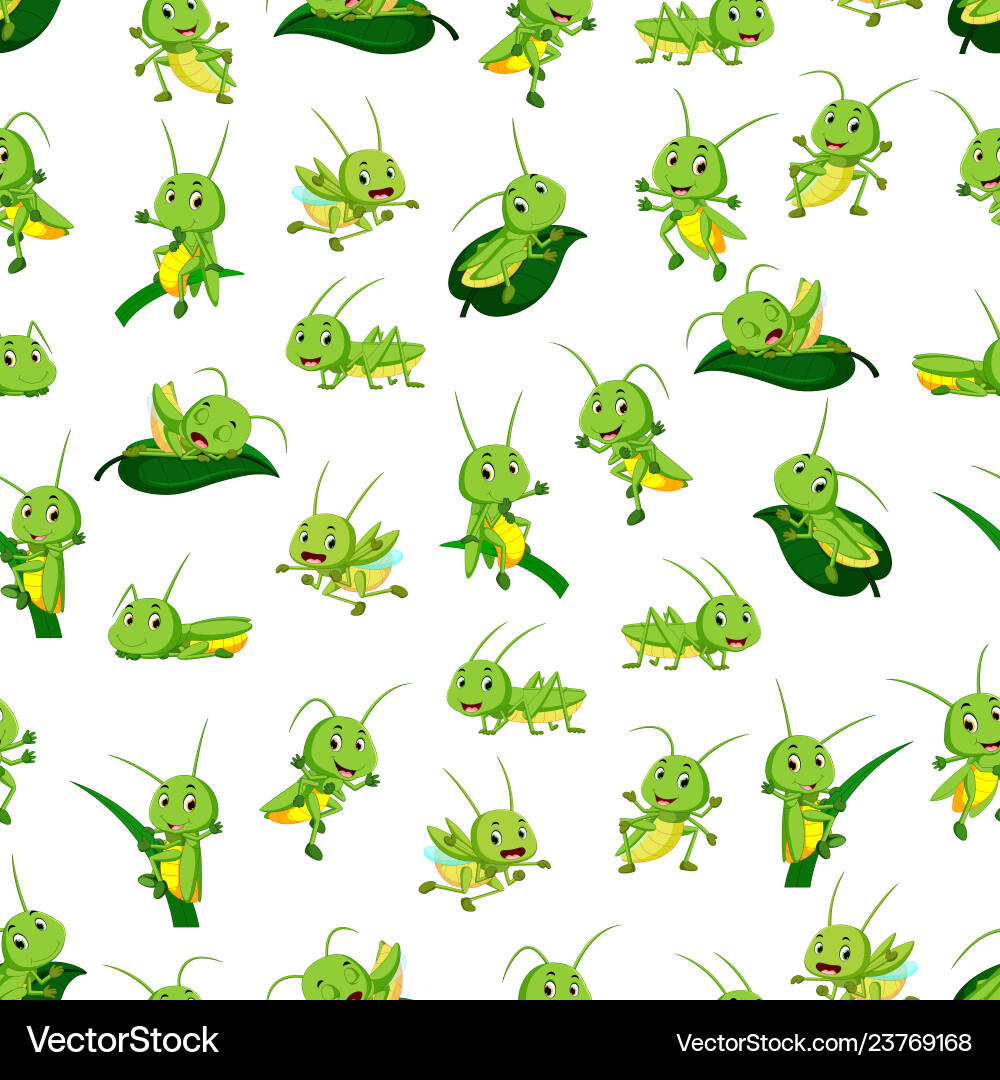 Cheerful Grasshopper Pattern vector image
