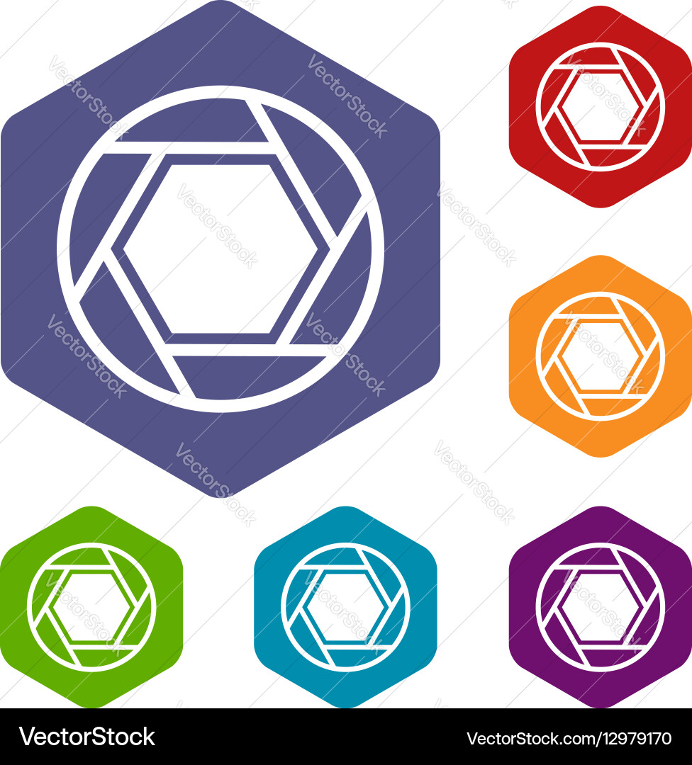 Close objective icons set Vector Image