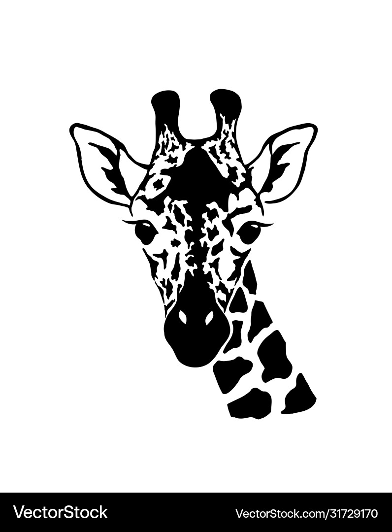 Giraffe head wild animal logo artwork design Giraffe head wild animal logo artwork design vector image