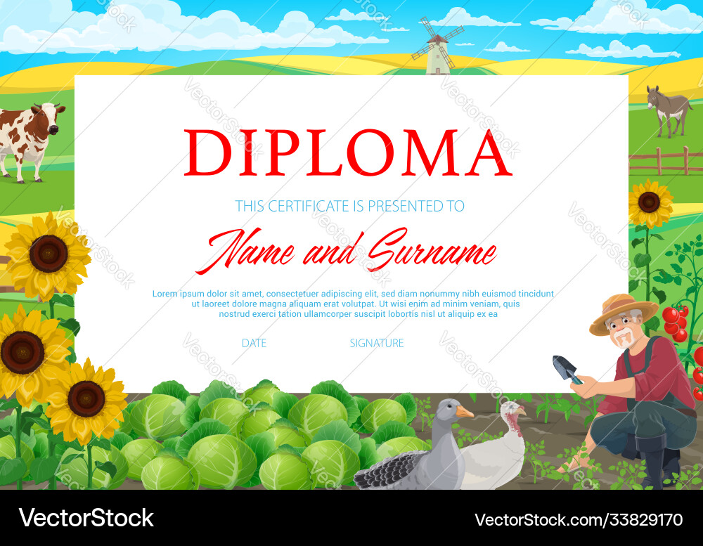 Schule oder Kindergarten-Diplombauer auf dem Feld Schule oder Kindergarten-Diplombauer auf dem Feld vektorbild
