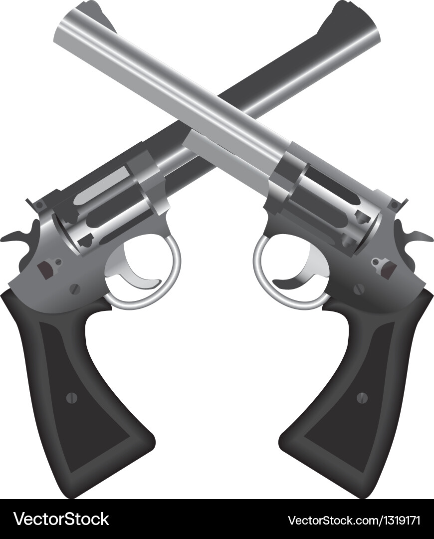 Revolvers vector image