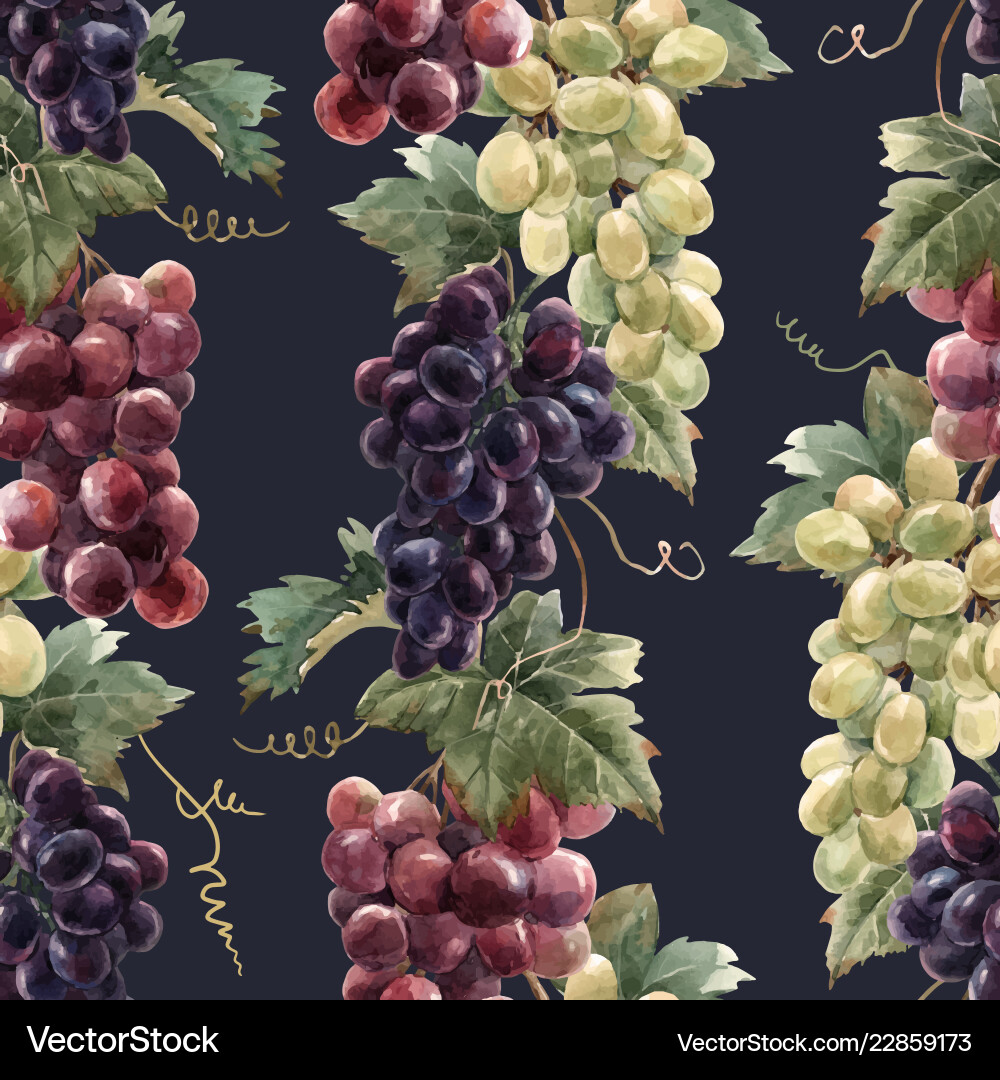 Watercolor grape pattern Watercolor grape pattern vector image
