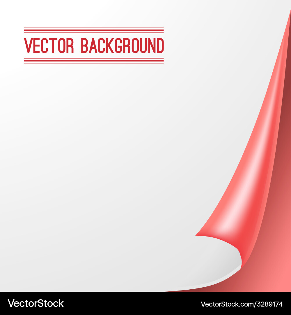 Blank sheet of paper with page curl and shadow vector image