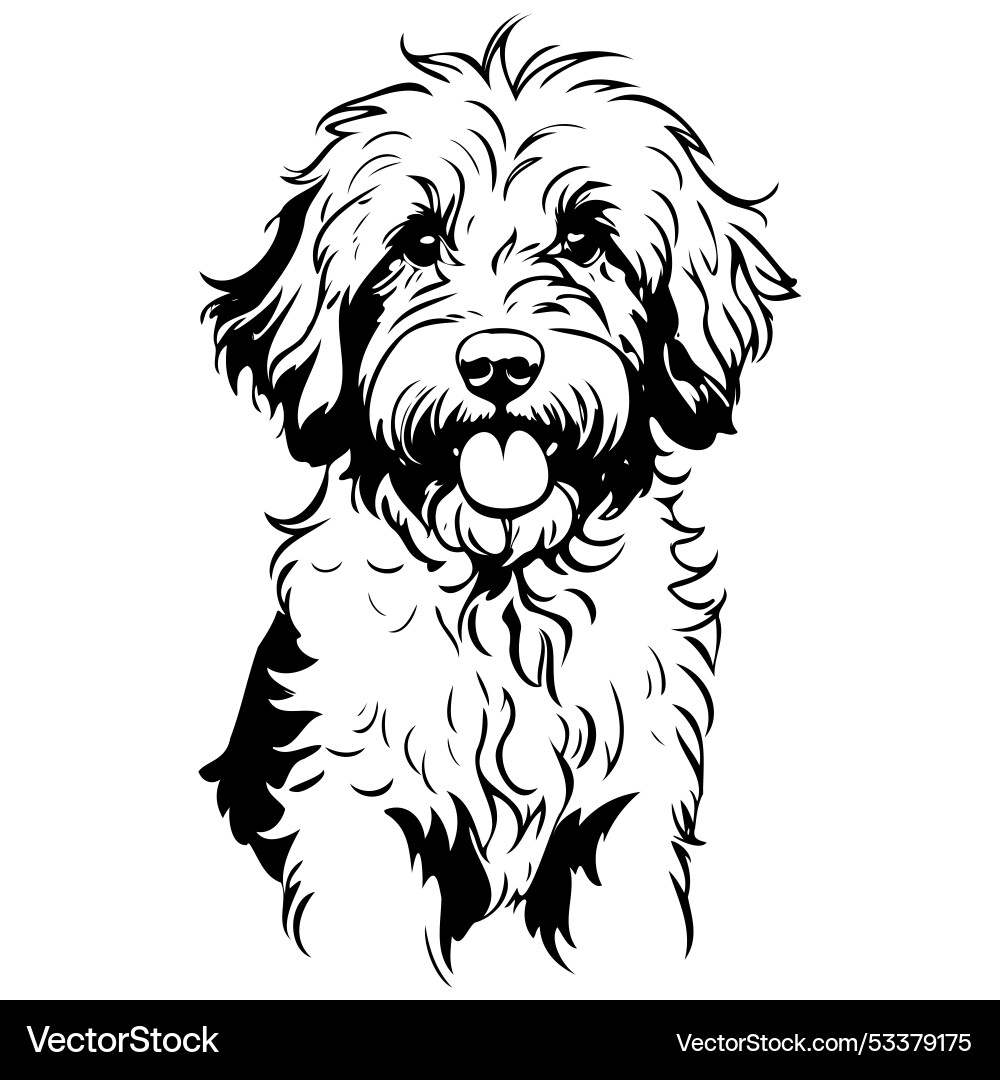 Aussiedoodle Portrait Outline Royalty Free Vector Image