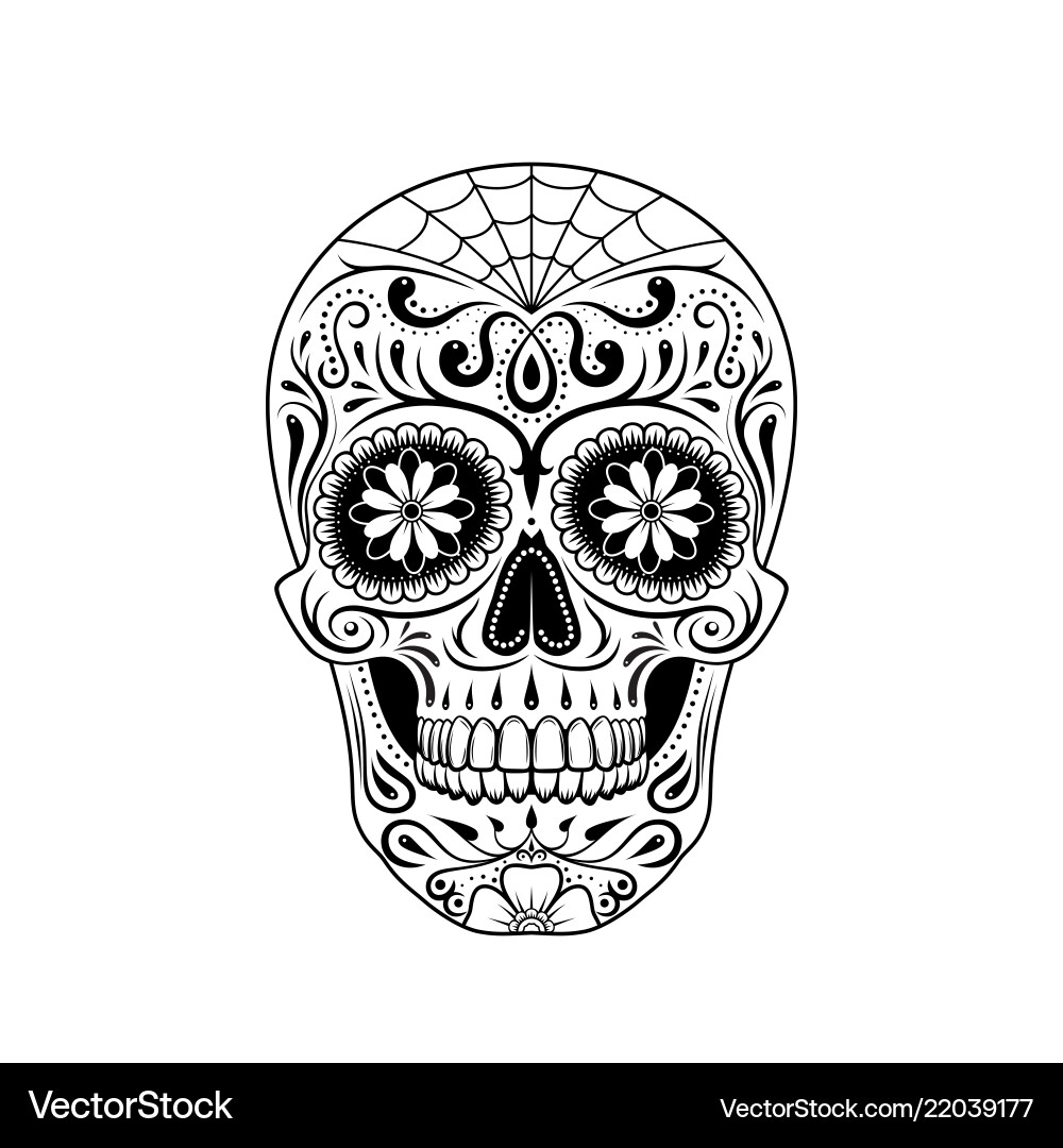 Elegant Sugar Skull Vector Image