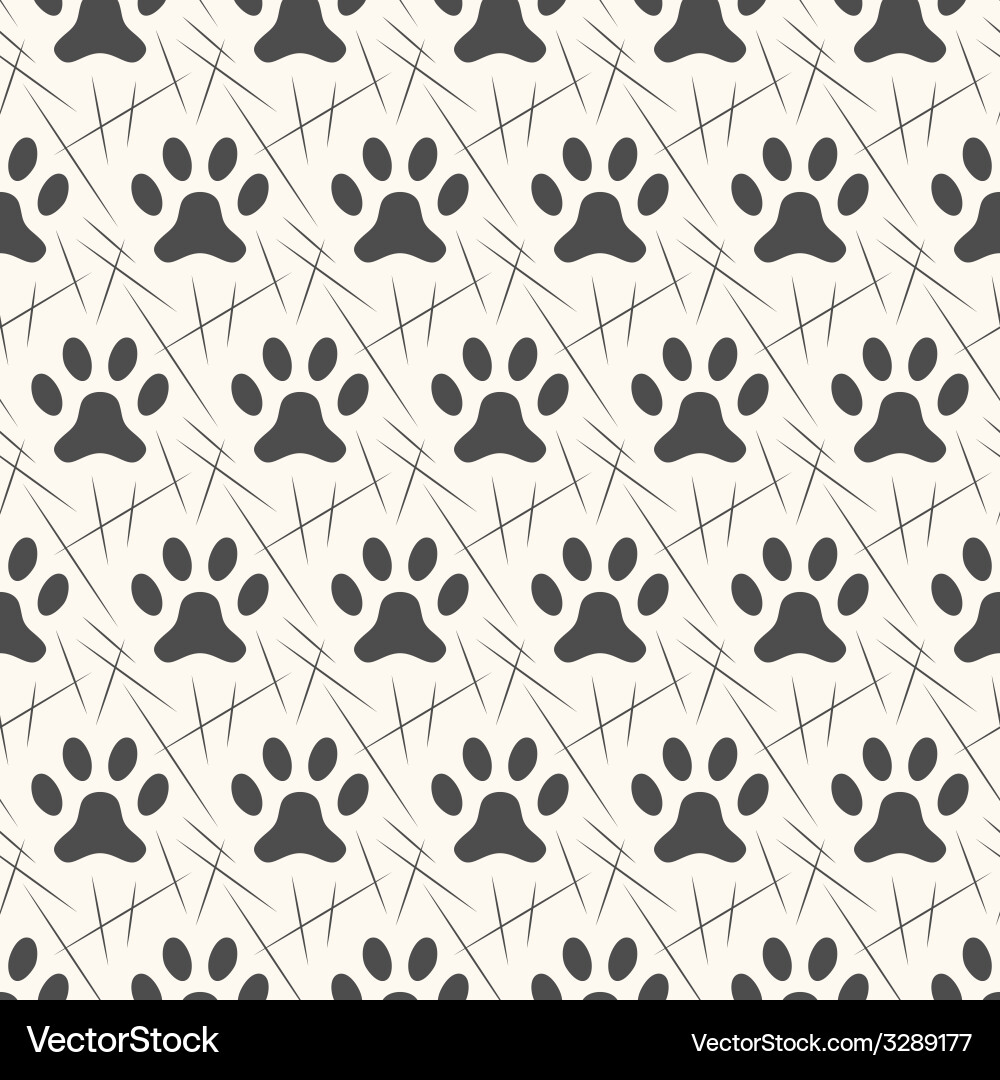 Paw Print Seamless Pattern vector image