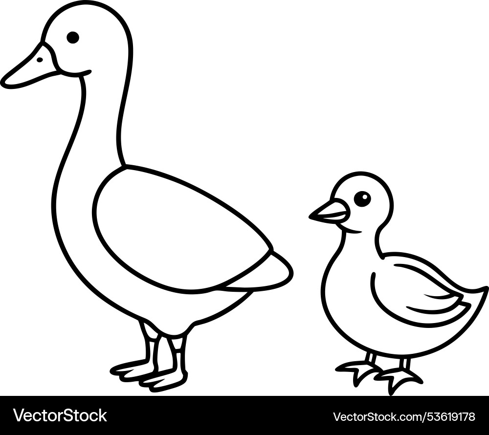 A realistic duck drawn as continuous line Vector Image