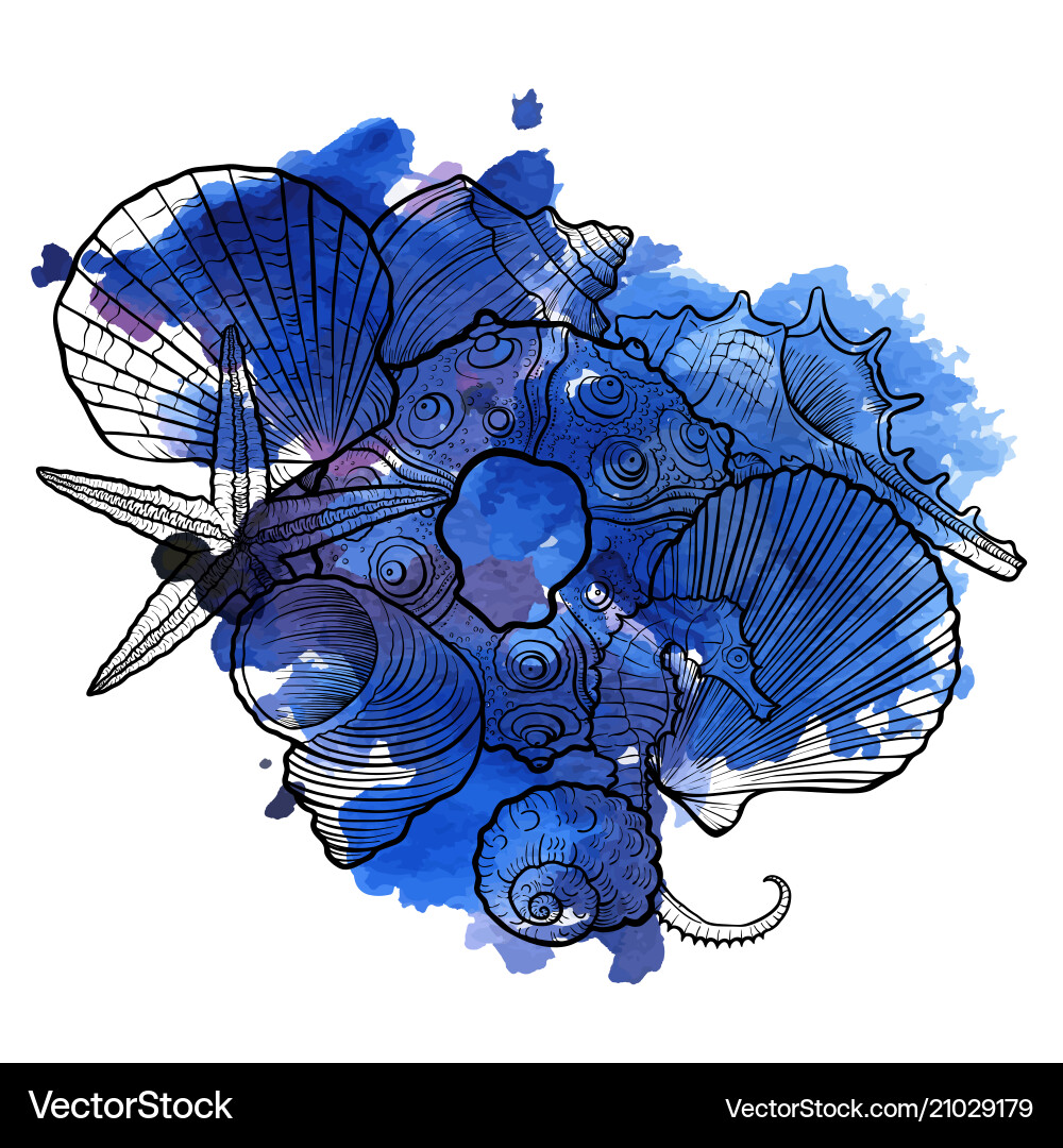 Background with seashells vector image