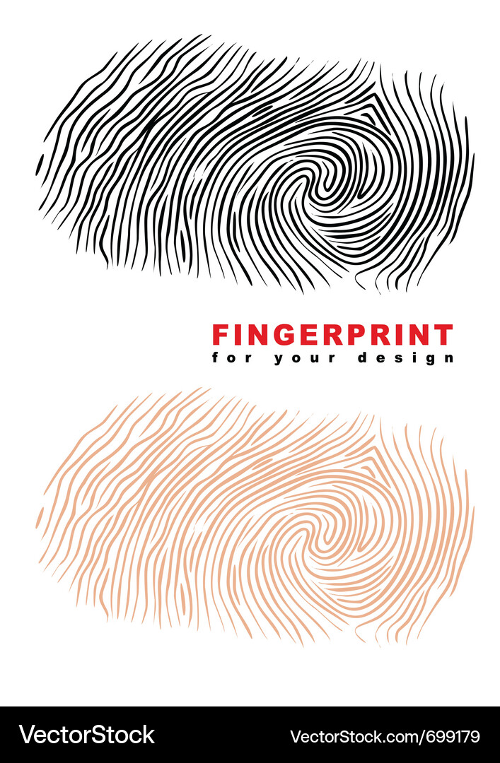 Fingerprint Pattern Vector Image