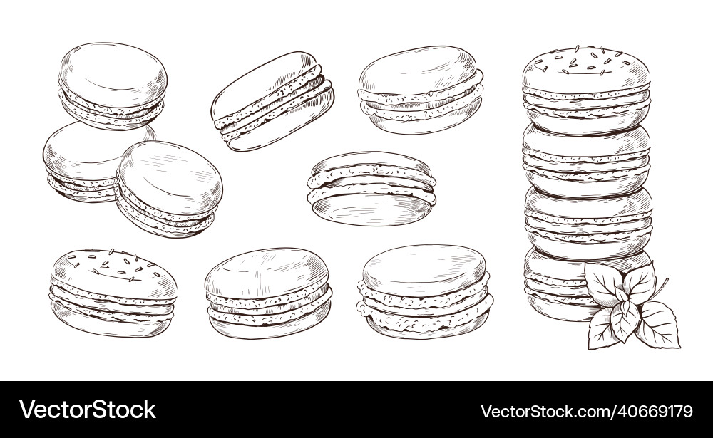 Handgezeichneter Mascaron französischer Biscuit Dessert Handgezeichneter Mascaron französischer Biscuit Dessert vektorbild