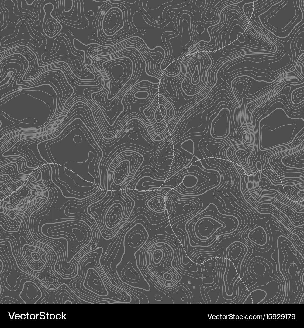 Seamless pattern topographic map background vector image