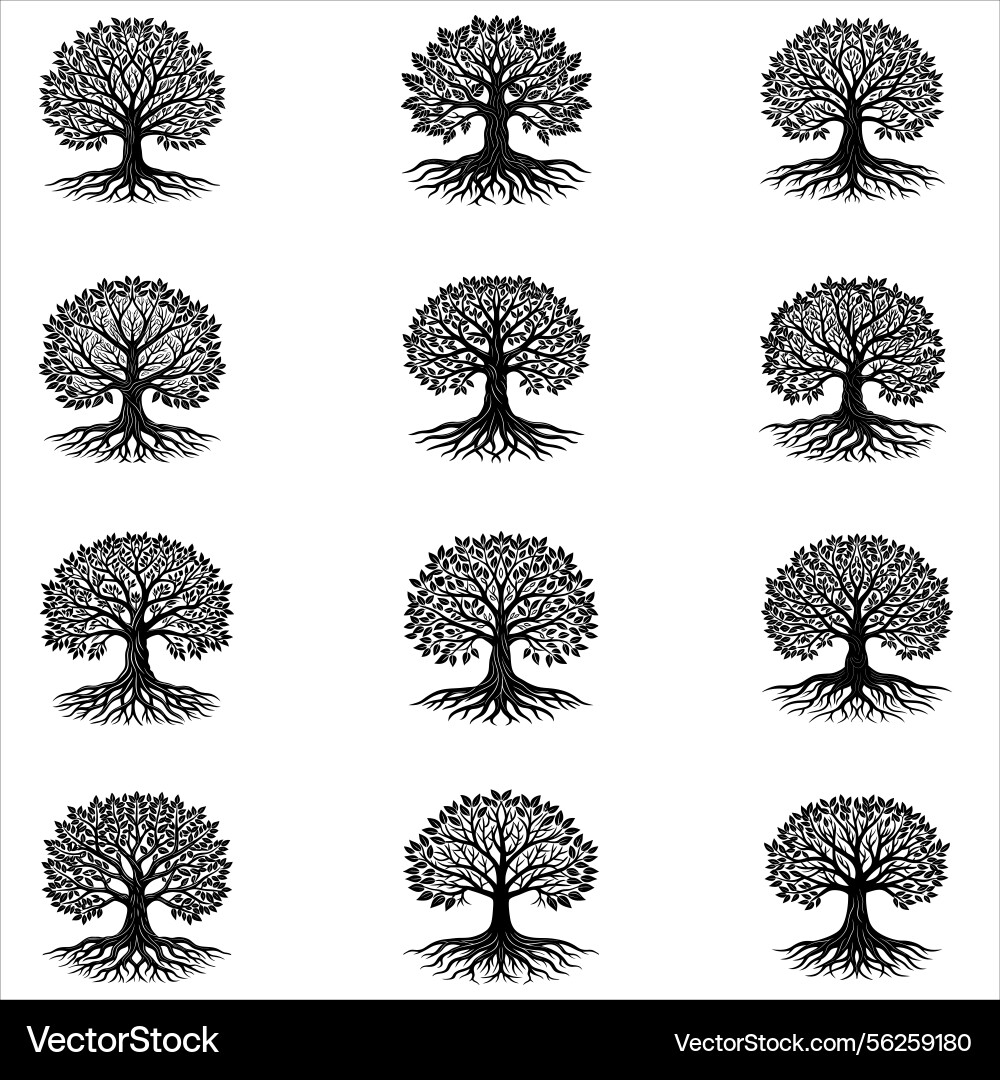 Tree with roots Tree with roots Vector Image