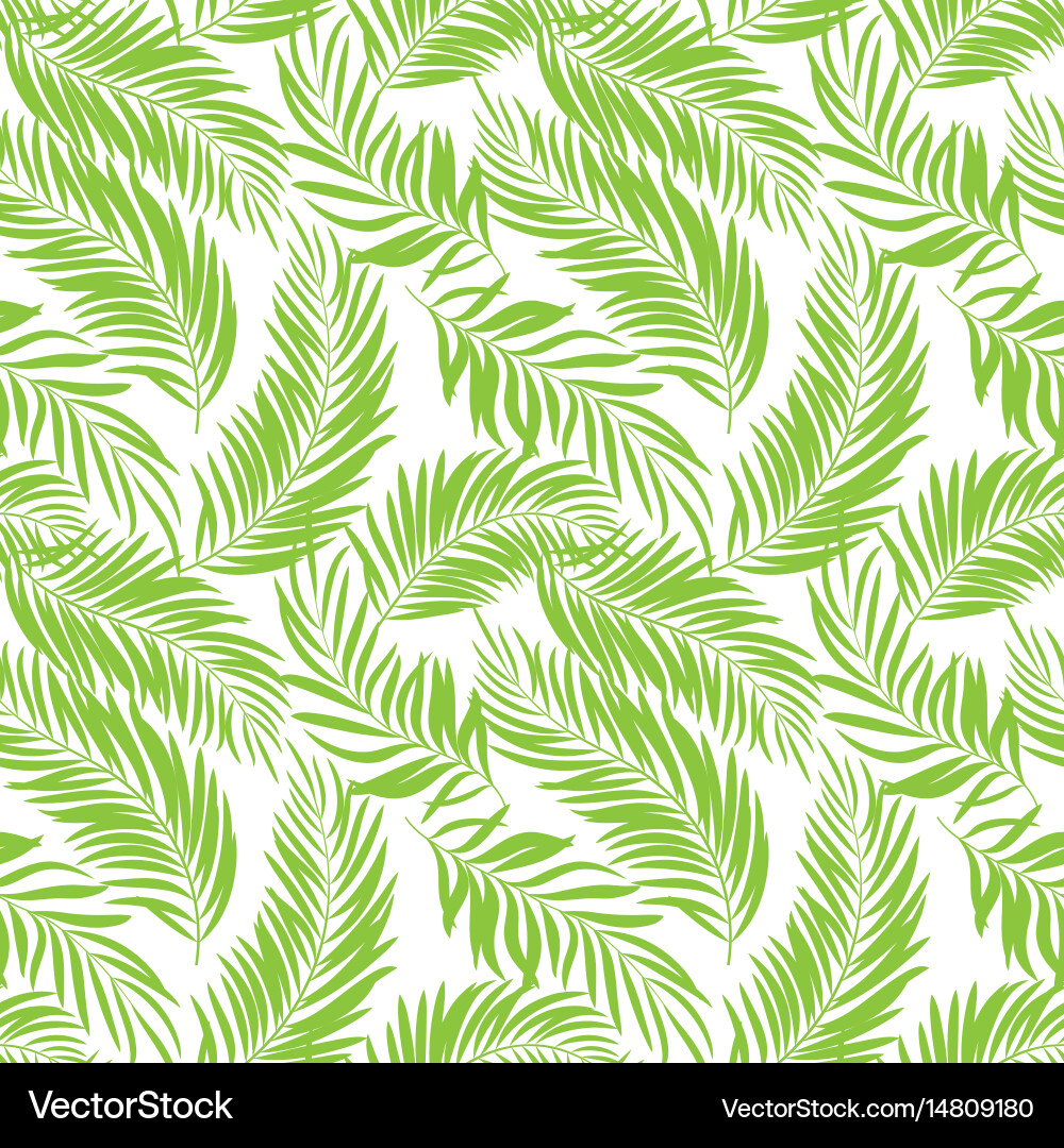 Tropical Palm Leaf Pattern Vector Image