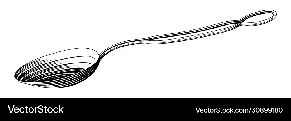 Vintage measuring spoon hand drawing engraving Vintage measuring spoon hand drawing engraving vector image