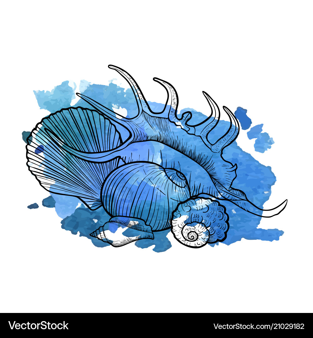 Background with seashells Background with seashells vector image