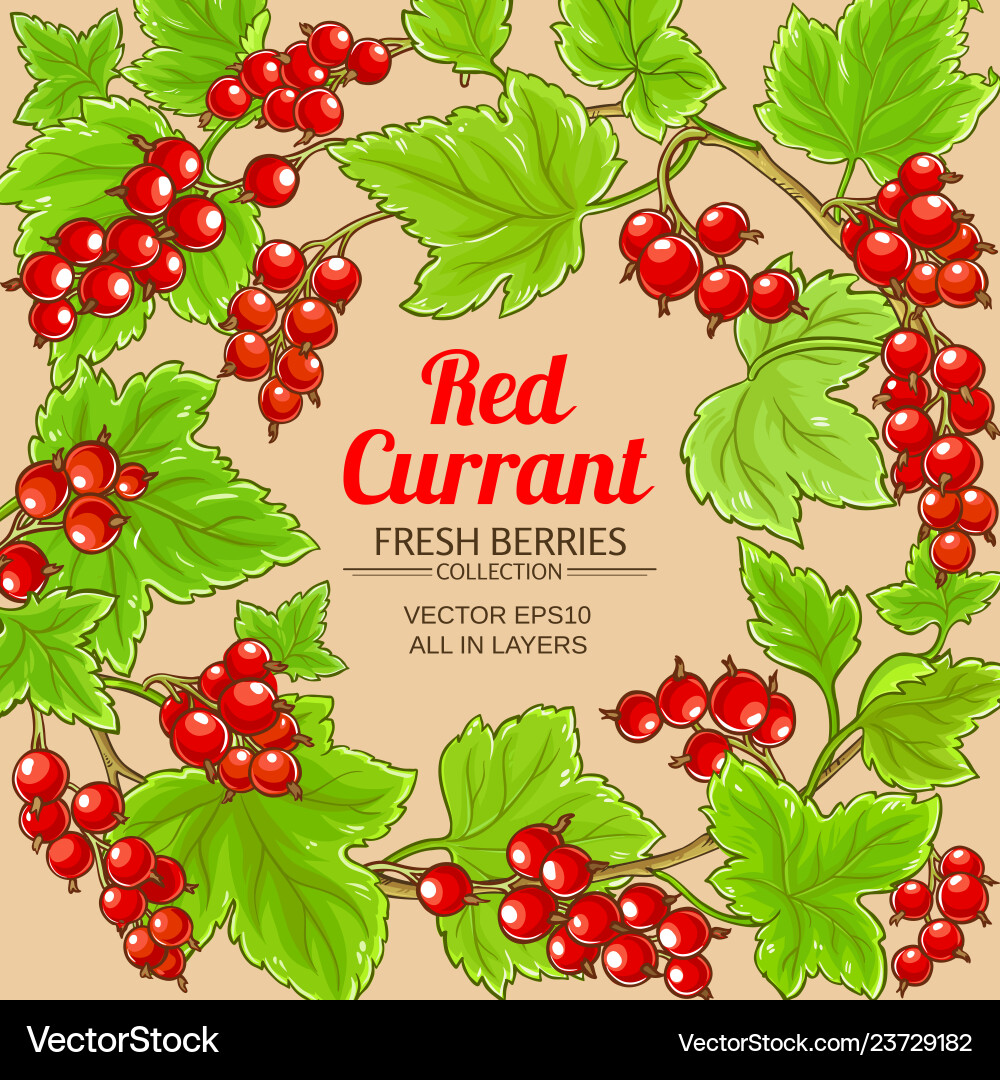 Red currant frame on color background Vector Image