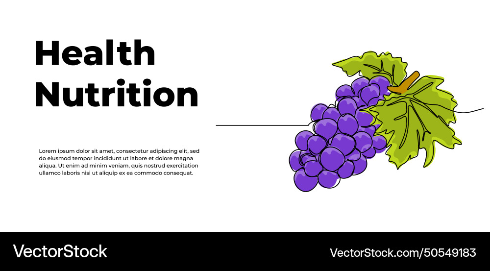 Grape one continuous line design fruits symbol Vector Image