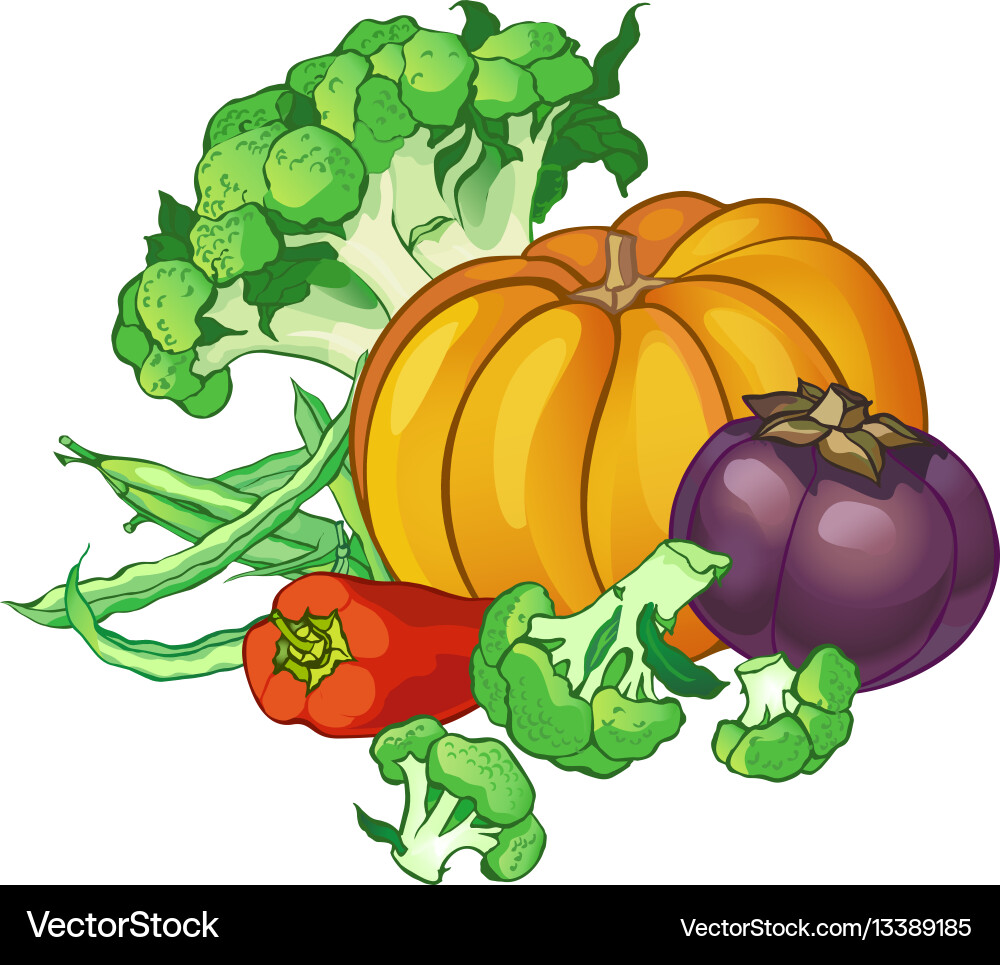 Vegetables set with broccoli green string beans vector image