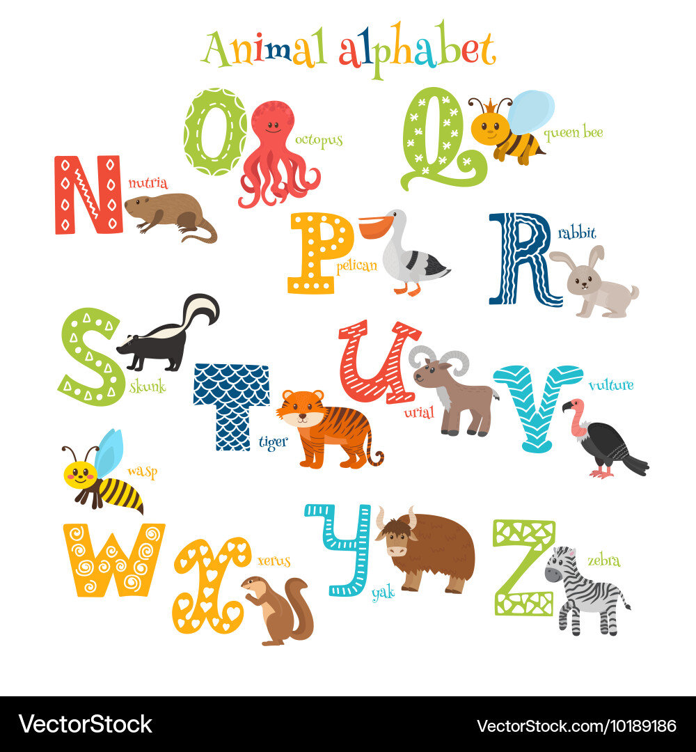 Alphabet Animals N-Z Vector Image