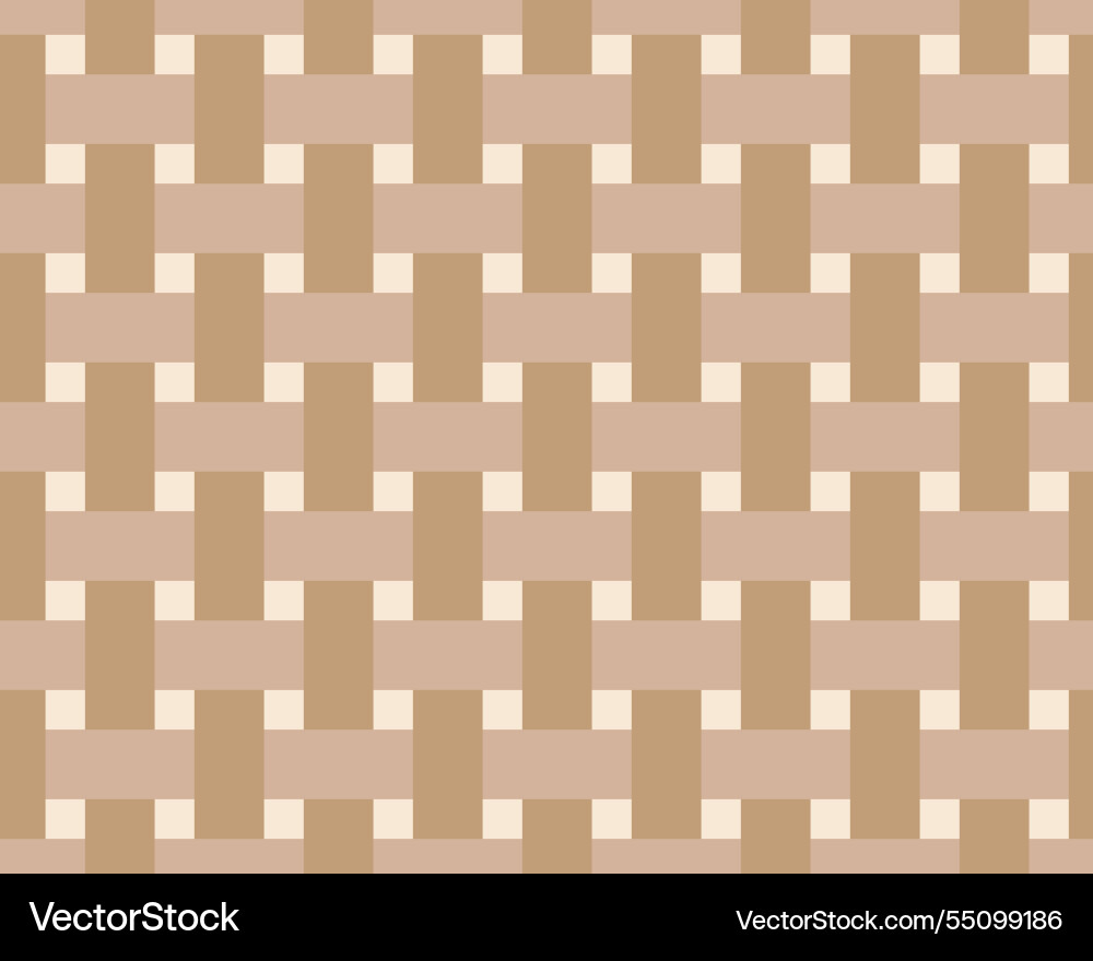 Rattan seamless pattern texture of the weave vector image