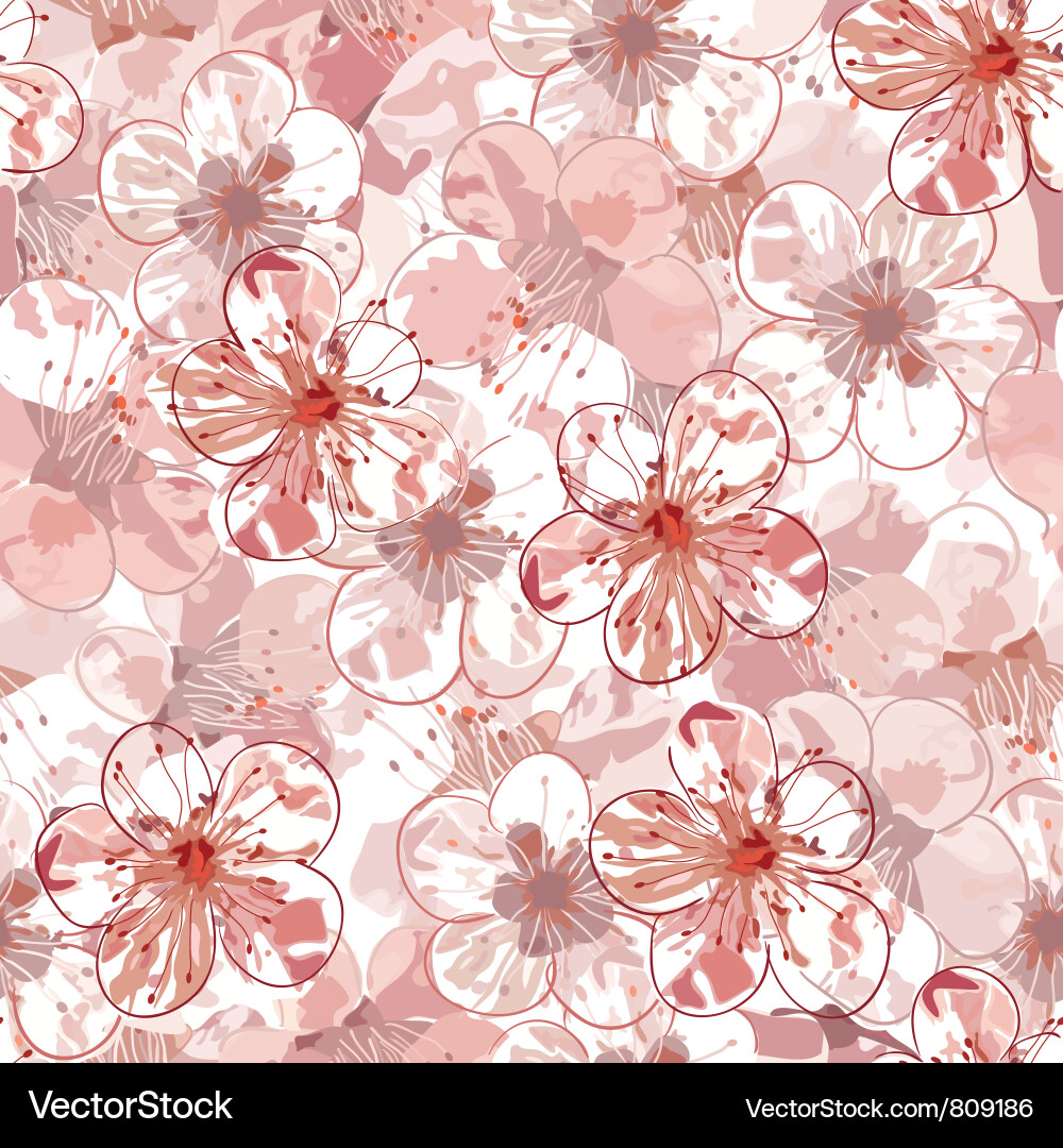 Sakura Blossom Seamless Pattern Vector Image