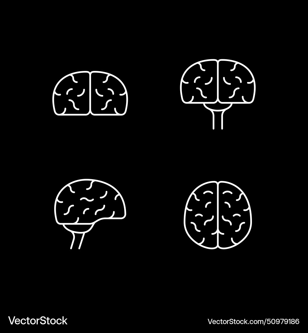 Set line icons of brain vector image