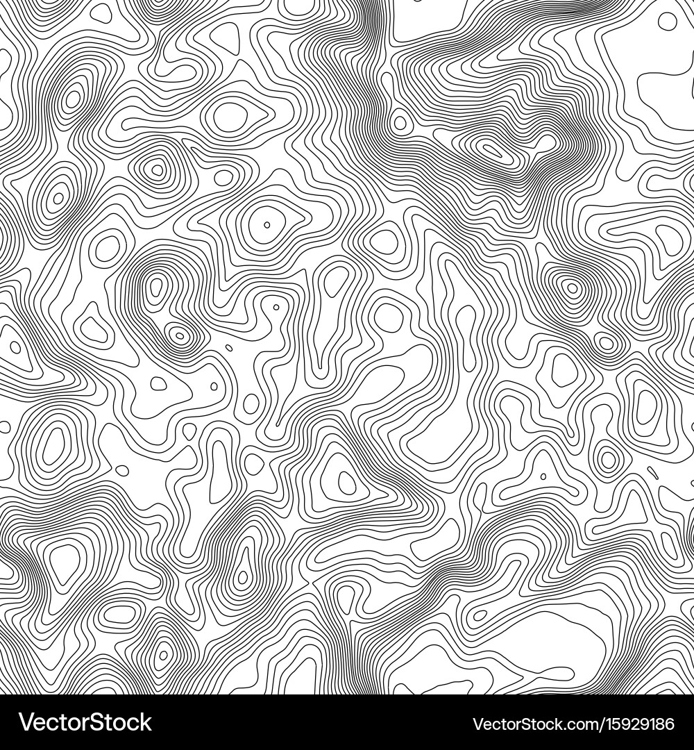 Topographic Map Seamless Pattern vector image