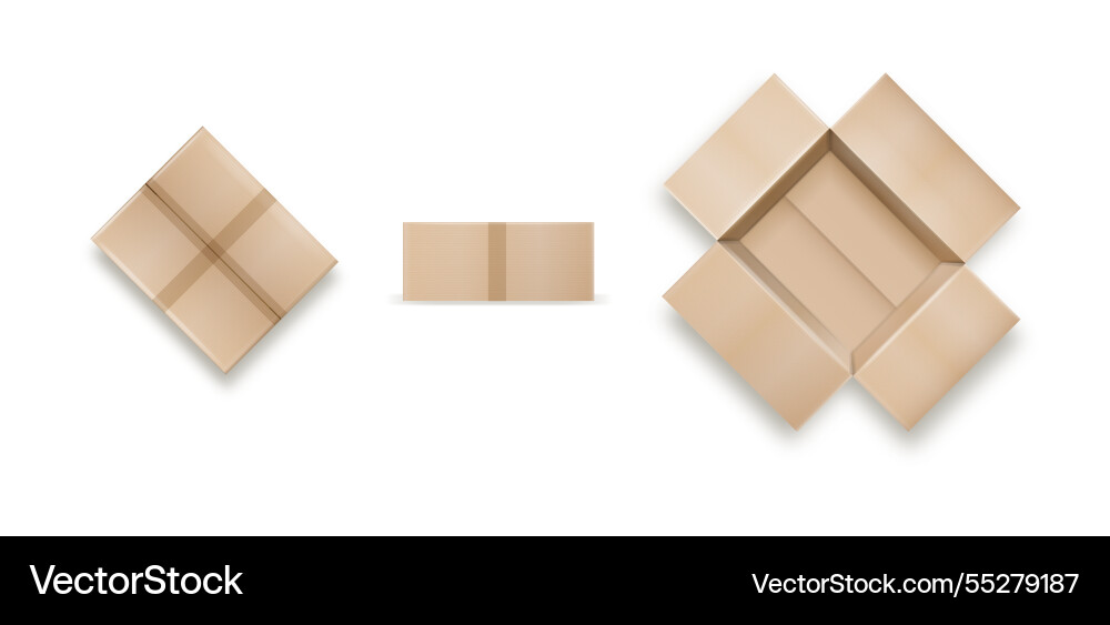 Box empty open and closed cardboard Box empty open and closed cardboard Vector Image