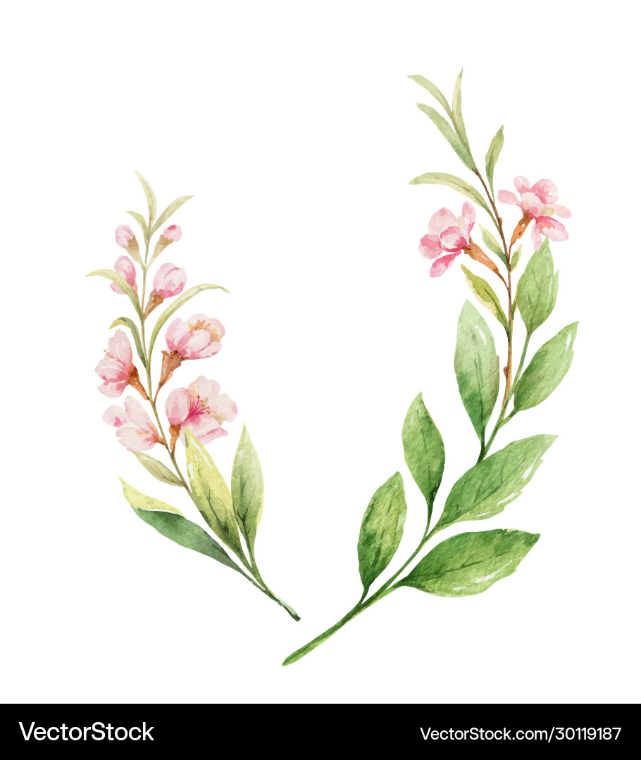 Watercolor wreath pink flowers vector image