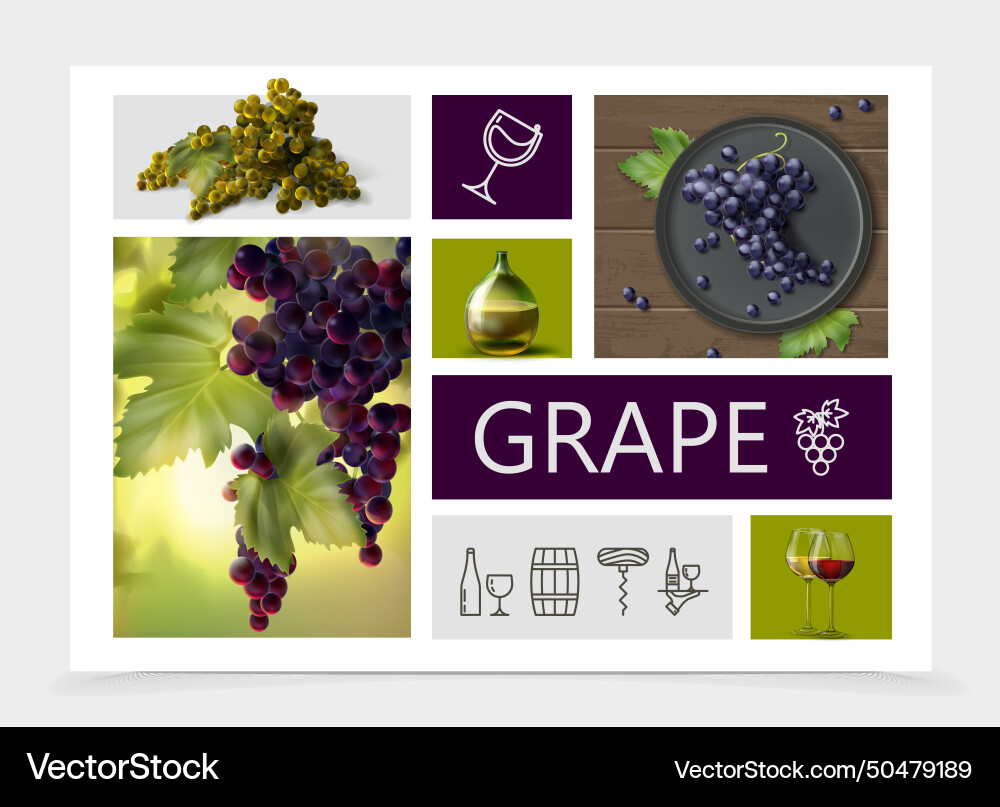 Realistic grapes composition Royalty Free Vector Image
