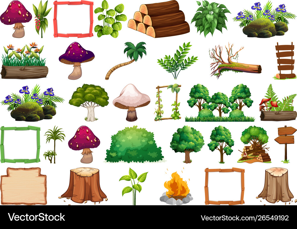 Set different nature objects vector image