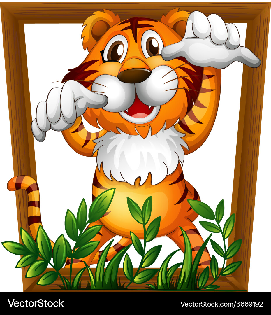 Tiger and frame Vector Image